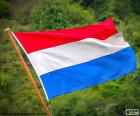 Vlag van Nederland