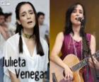 Julieta Venegas, is een Mexicaans zangeres