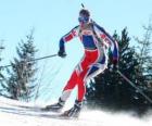 Skiër in volledige poging om praktijk cross-country skiën of langlaufen