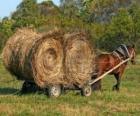 Boer met een paard en wagen