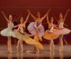 Ballet Toon