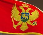 Vlag van Montenegro