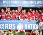 Welsh kampioen de 2013 Six Nations