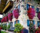 Huis in het voorjaar met bloemen in de ramen