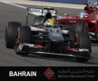 Esteban Gutierrez - Sauber - 2013 Bahrain International Circuit