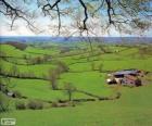 Platteland Devon, Groot-Brittannië