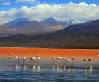 De Laguna Colorada, Bolivia