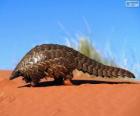 Schubdieren of pangolin