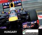 Sebastian Vettel - Red Bull - Grand Prix van Hongarije 2013, 3e ingedeeld