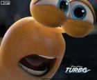 Het gezicht van Turbo