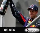 Sebastian Vettel viert zijn overwinning in de Grand Prix van België 2013