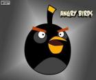 Vogel zwarte videospel Angry Birds