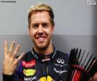 Sebastian Vettel, 2013 F1-wereldkampioen, de vierde wereldtitel