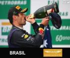Mark Webber - Red Bull - Grand Prix van Brazilië 2013, 2º ingedeeld
