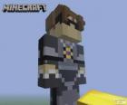 Sky van de Sky Army. Minecraft