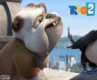 Luiz in de film Rio 2