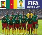 Selectie van Kameroen, Groep A, Brazilië 2014