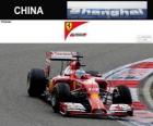 Fernando Alonso - Ferrari - Grand Prize van de China 2014, 3e ingedeeld