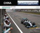 Lewis Hamilton 2014 Chinese Grand Prix kampioen