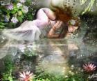 Fairy Ondina, aquatische nimfen van spectaculaire schoonheid zijn