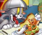 Tom en Jerry in een ander van hun conflicten