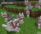 Wolven van Minecraft