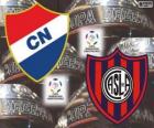 Club Nacional van Paraguay vs San Lorenzo de Almagro van Argentinië. Finale Copa Libertadores 2014