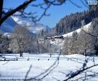 Een prachtige winterlandschap met huizen op de achtergrond