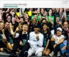 Lewis Hamilton, F1-wereldkampioen 2014 met Mercedes