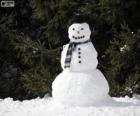 Een stijlvolle sneeuwpop