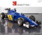 Team gevormd door Marcus Ericsson, Felipe Nasr en de nieuwe Sauber C34