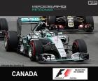 Rosberg G.P. Canada 2015