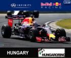 Daniel Ricciardo G.P Hongarije 2015