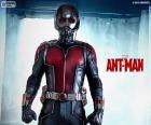 Ant-Man is de belangrijkste protagonist van de film. Kostuum transformeert het in de Ant-Man