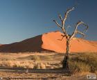 De Namibwoestijn wordt beschouwd als de oudste woestijn van de wereld, strekt zich uit langs de kust van Namibië, Afrika. Werelderfgoedlijst vanaf 2013