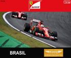 Vettel, Grand Prix van Brazilië 2015