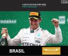 Rosberg Grand Prix van Brazilië 2015