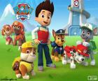 Ryder en honden Paw Patrol