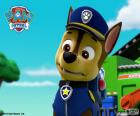 Chase is een geboren leider en de hond van de politie van de patrouille van de pups Paw Patrol