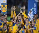 Tigres UANL, kampioen Mexico 2015