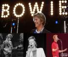 David Robert Jones (David Bowie), was een Engelse zanger, songwriter, multi-instrumentist, muziekproducent, arrangeur, schilder en acteur