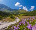 Mooie en zonnige berglandschap