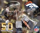 Broncos, Super Bowl 2016 Champions