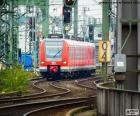 Regionale trein rood bij het invoeren van een zone van curven