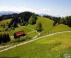 Groene weiden Mountain