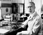 Karl Landsteiner (1868-1943), was een Oostenrijkse en Amerikaanse bioloog en arts. Hij ontdekte de bloedgroepen. Hij kreeg de Nobelprijs voor de Fysiologie of Geneeskunde in 1930