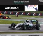 N. Rosberg, de Britse Grand Prix 2016