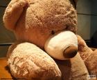 Grote Teddy bear, een heel mooi cadeau maar reus