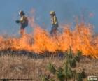 Twee brandweerlieden, vuur