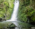 Waterval en mossen